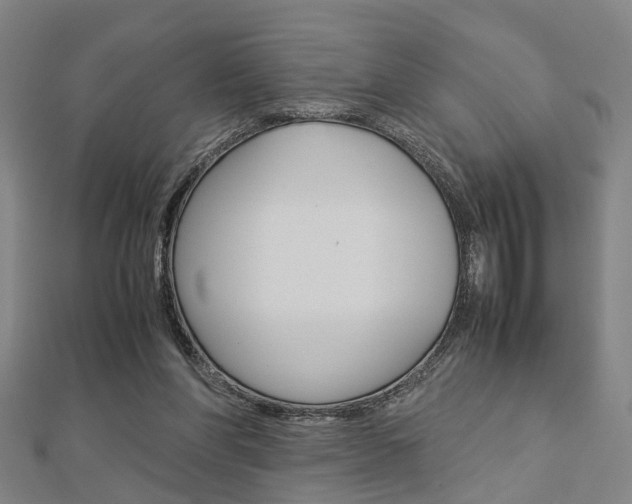 X0000112730206200908201020