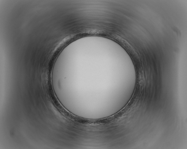 X0000112730208200908201020