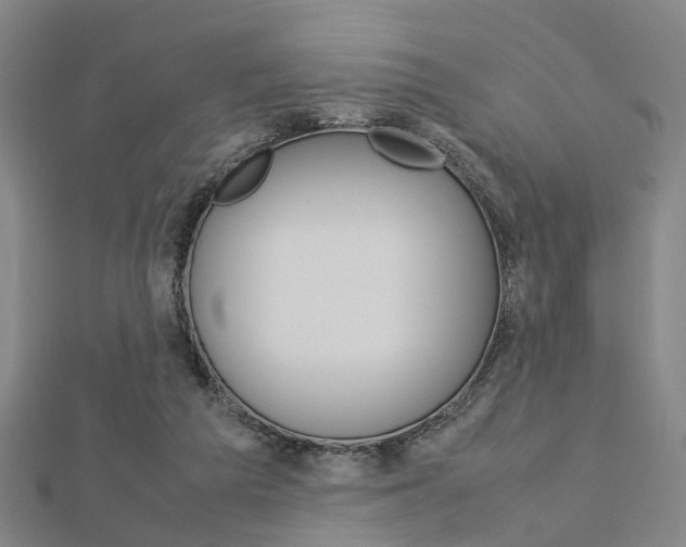 X0000112730209200908201020