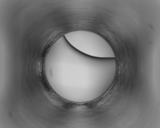 X0000112730210200908201020