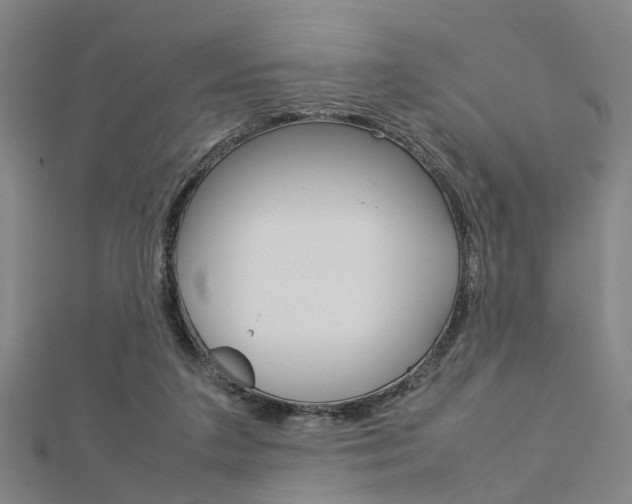 X0000112730211200908201020