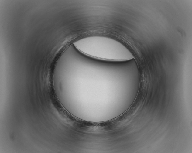 X0000112730212200908201020