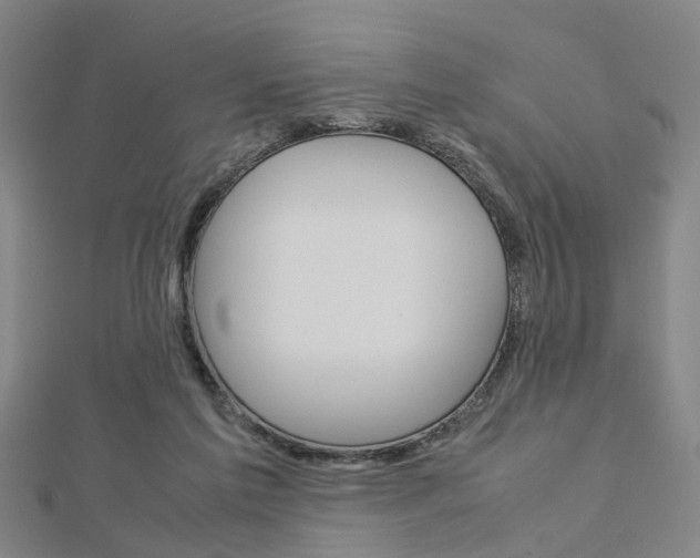 X0000112730213200908201020