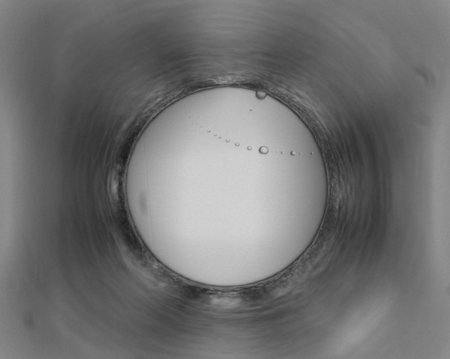 X0000112730214200908201020