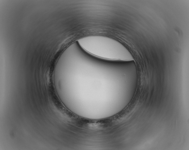 X0000112730216200908201020