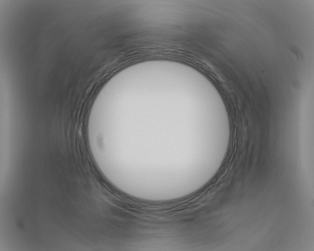 X0000112730217200908201020