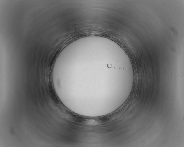 X0000112730218200908201020