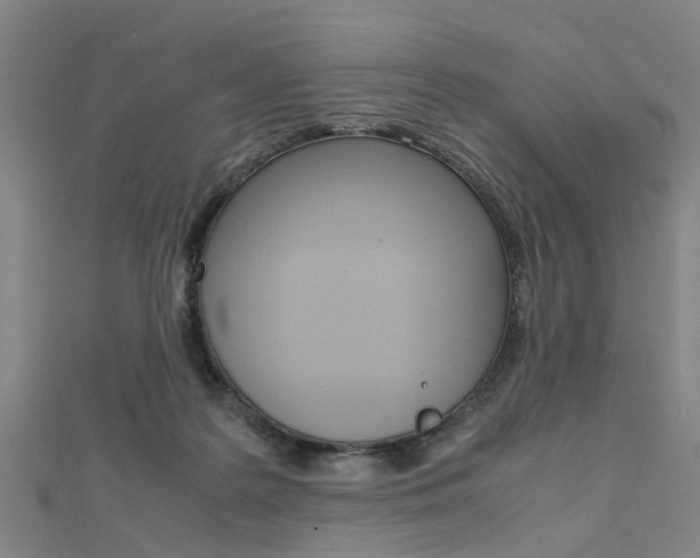 X0000112730219200908201020