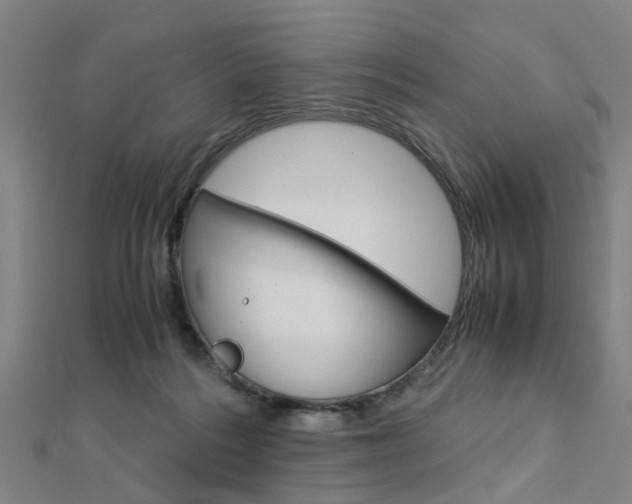 X0000112730220200908201020