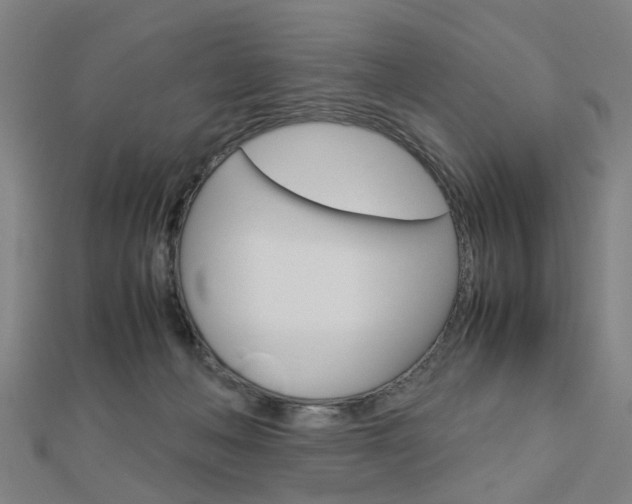 X0000112730222200908201020