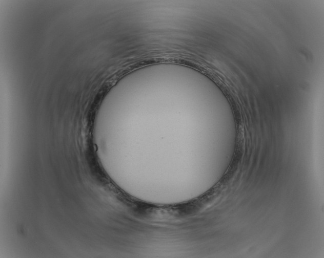 X0000112730223200908201020