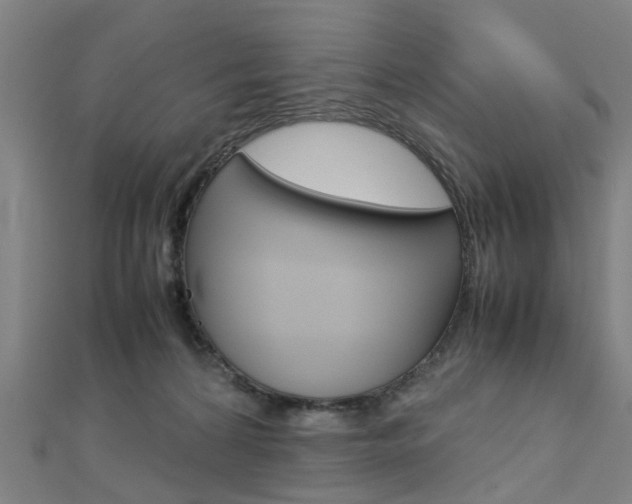 X0000112730224200908201020