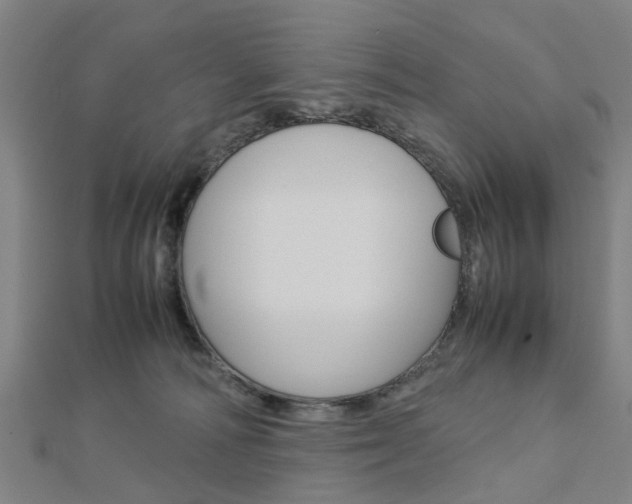 X0000112730226200908201020