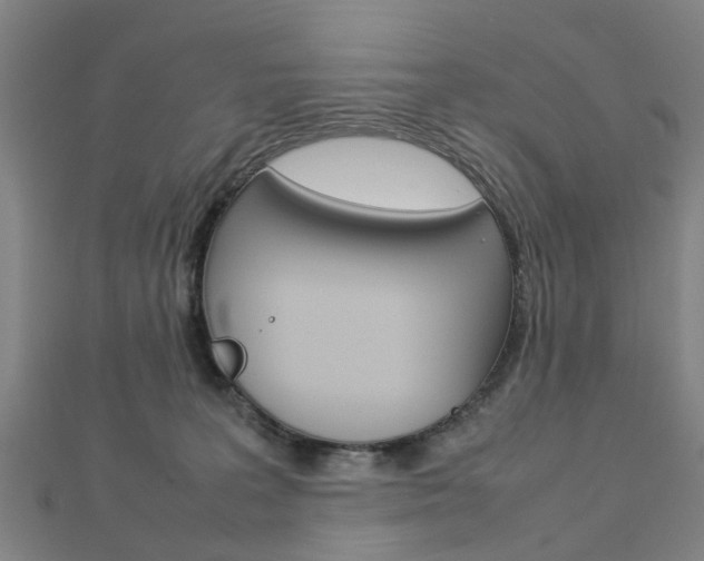 X0000112730227200908201020