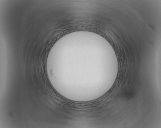 X0000112730229200908201020