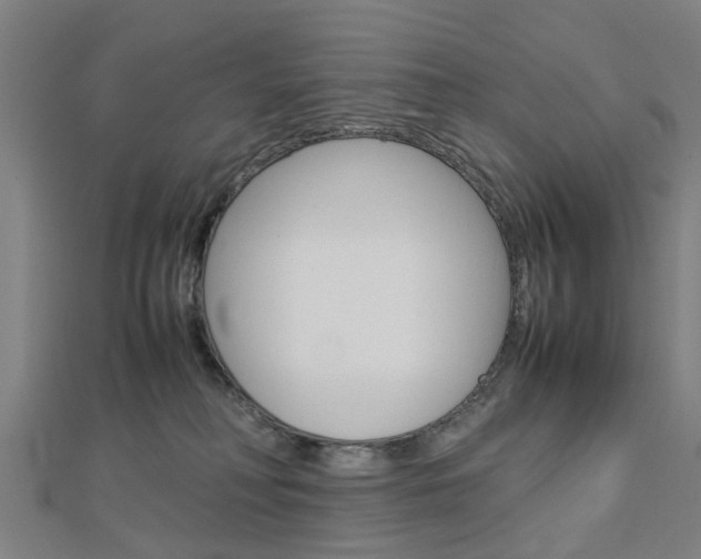 X0000112730230200908201020