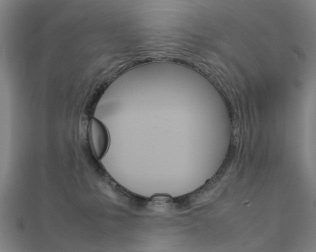 X0000112730231200908201020