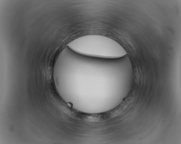 X0000112730232200908201020