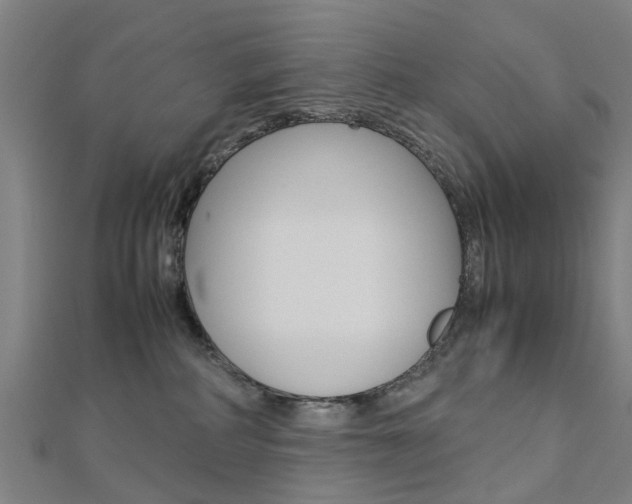 X0000112730234200908201020