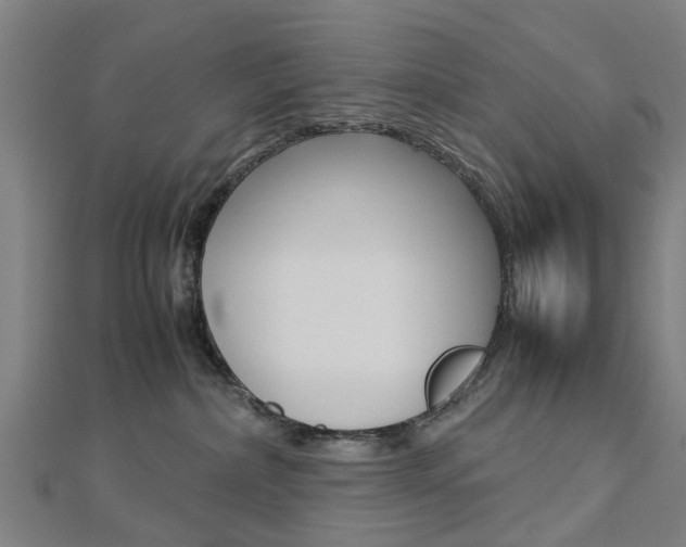 X0000112730236200908201020