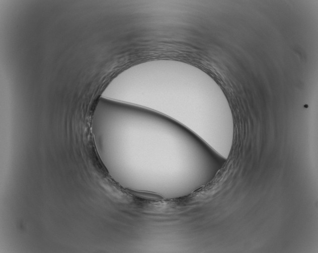 X0000112730237200908201020