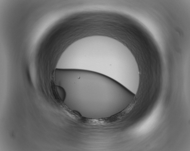 X0000112730239200908201020