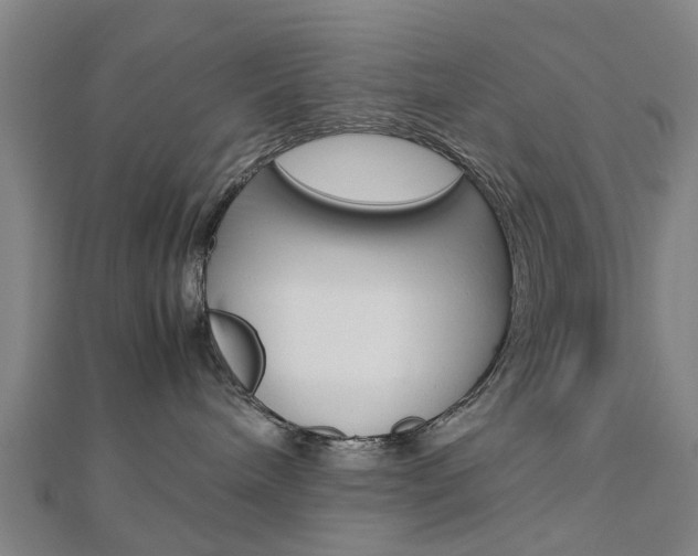 X0000112730240200908201020