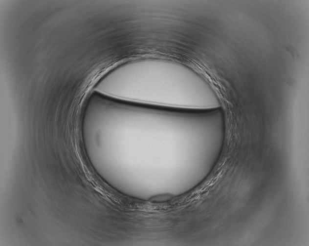 X0000112730241200908201019