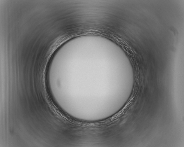 X0000112730242200908201019