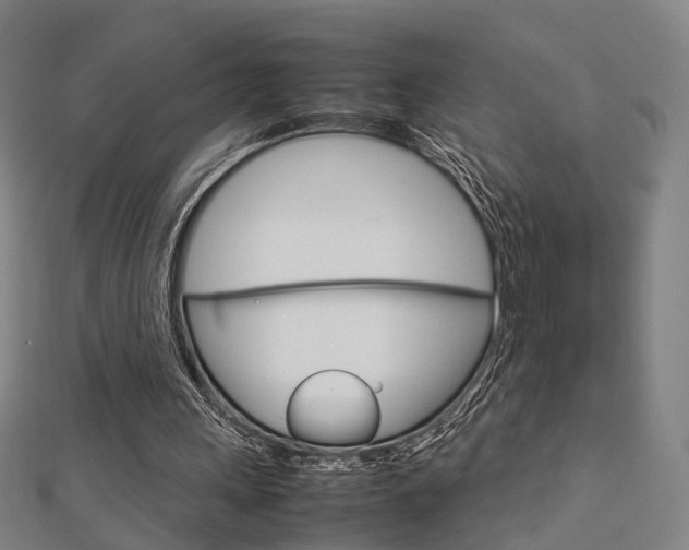 X0000112730243200908201019