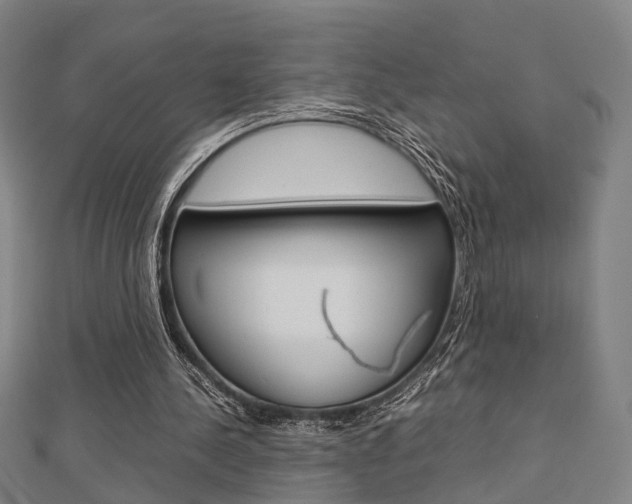 X0000112730244200908201019