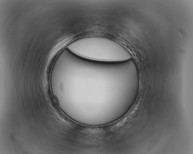 X0000112730245200908201019