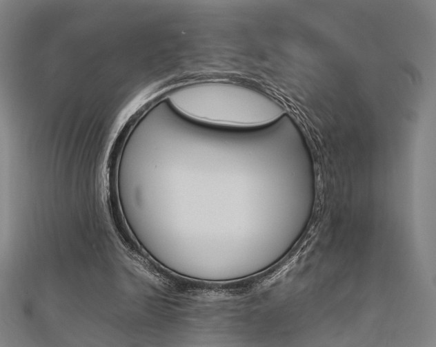 X0000112730246200908201019