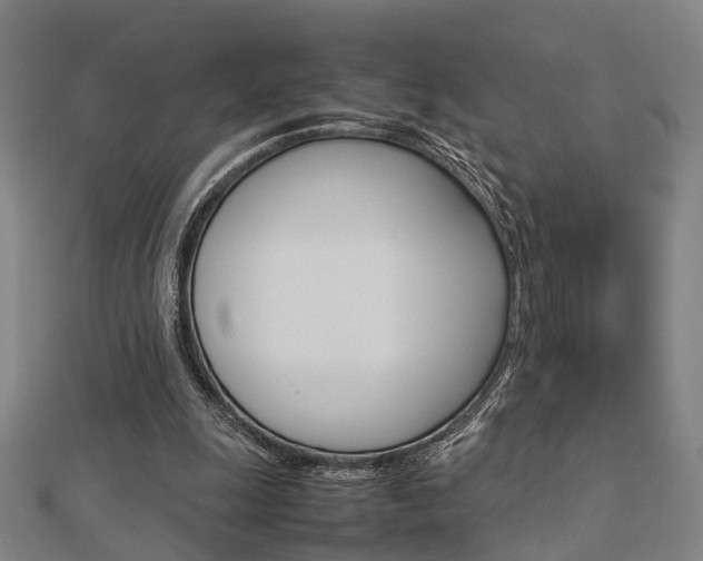 X0000112730247200908201019