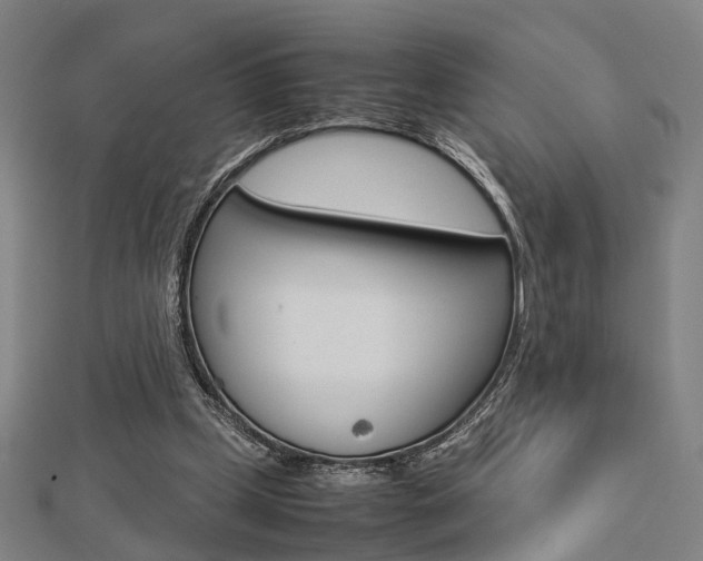 X0000112730249200908201019