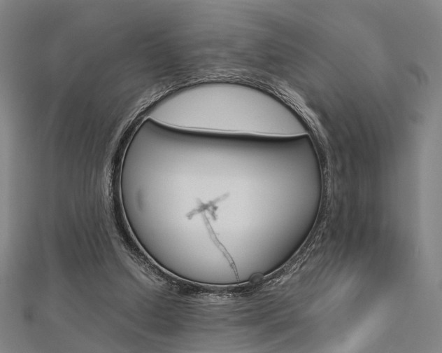 X0000112730250200908201019