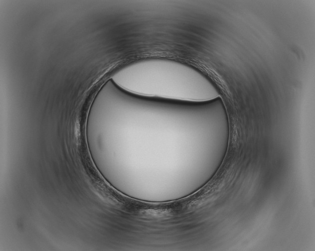 X0000112730251200908201019