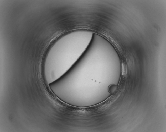 X0000112730253200908201019