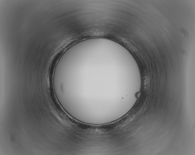 X0000112730254200908201019