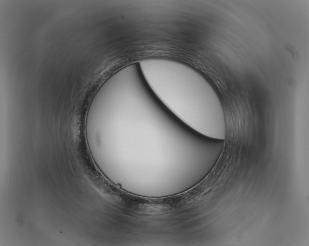 X0000112730255200908201019