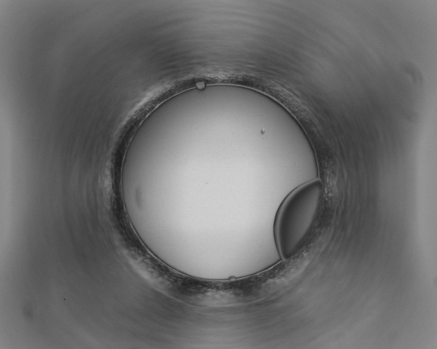 X0000112730256200908201019