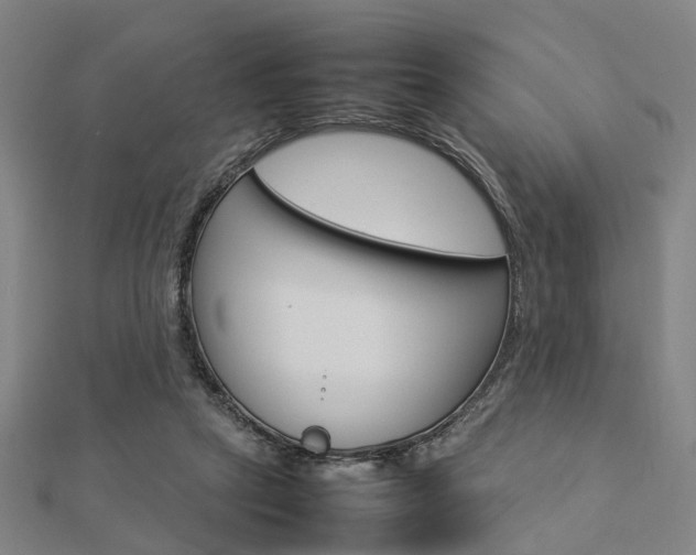 X0000112730257200908201019