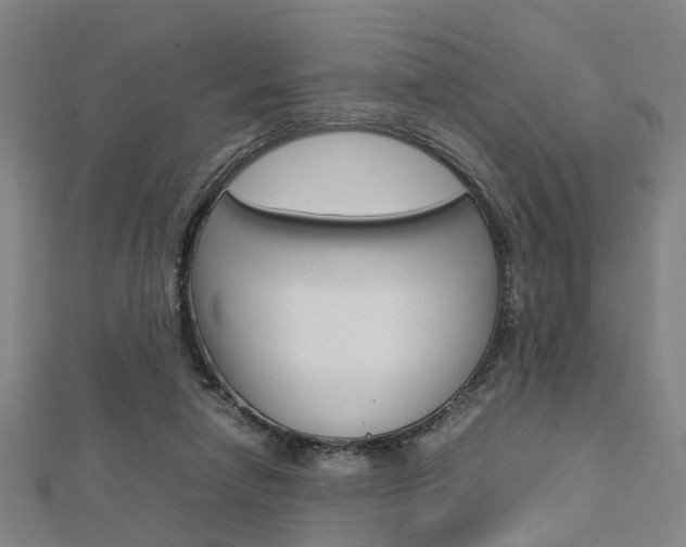 X0000112730258200908201019