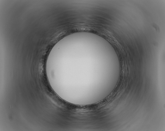 X0000112730259200908201019