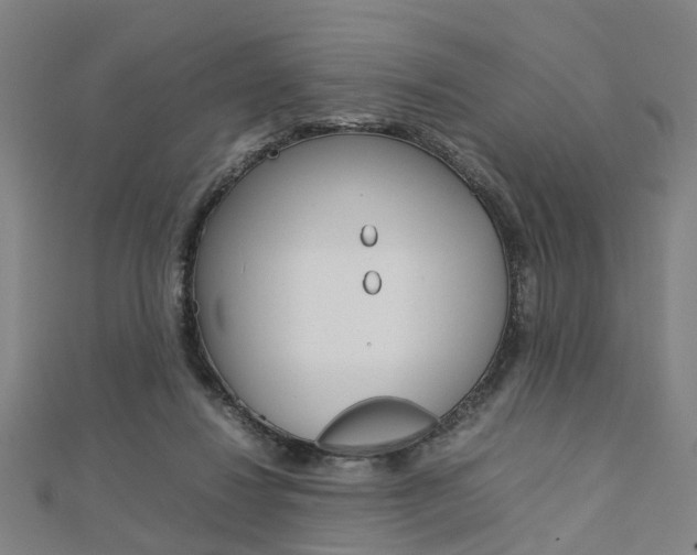 X0000112730260200908201019