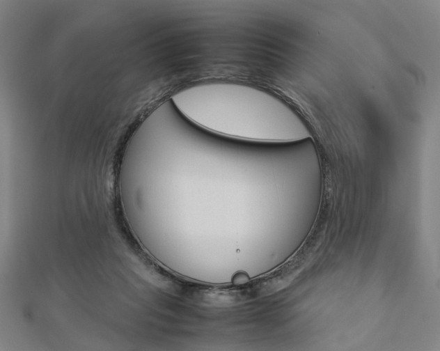 X0000112730261200908201019