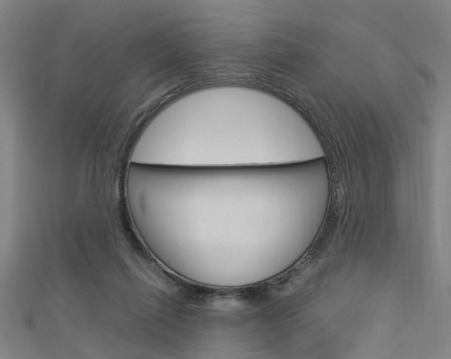 X0000112730262200908201019