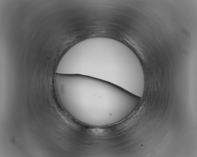 X0000112730265200908201020