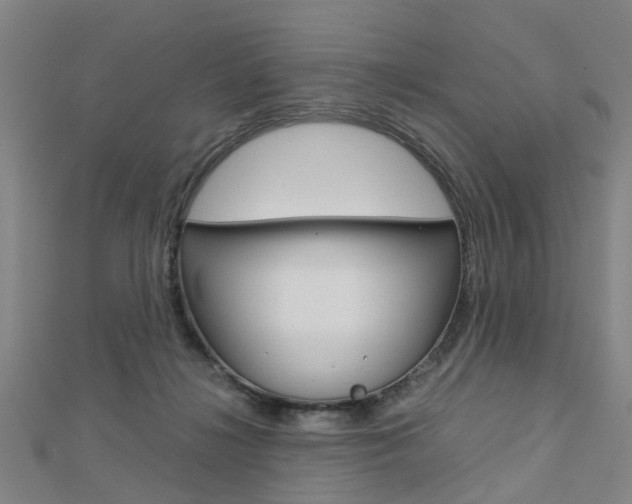 X0000112730268200908201020