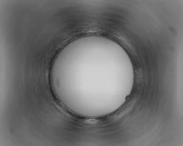 X0000112730269200908201020